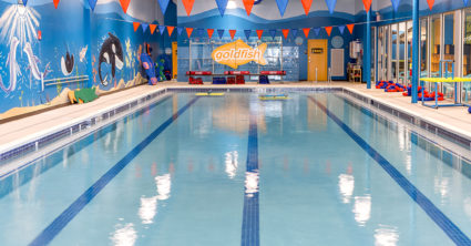 Goldfish Swim School 1